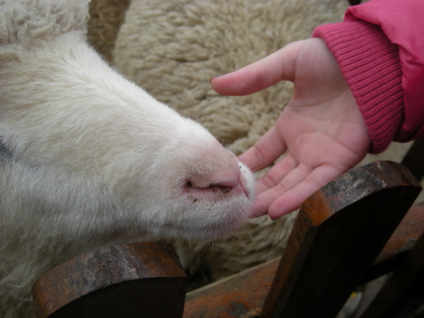 我其實不懂這構圖