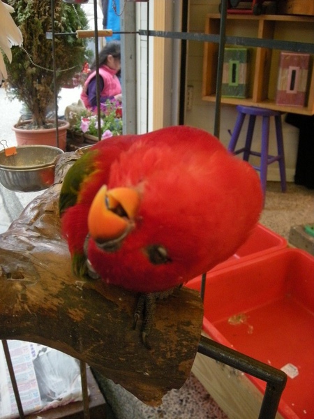 而且眼睛還半閉...