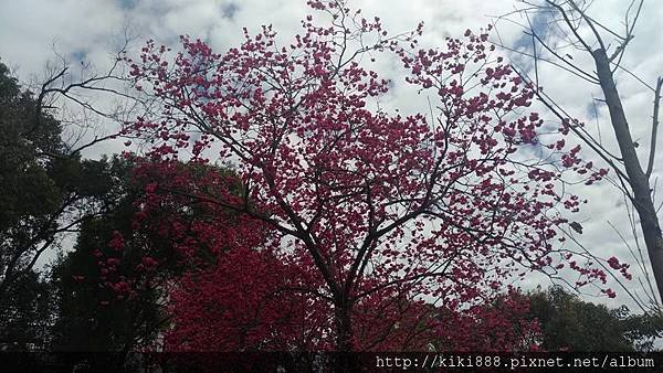 27972059_2044767802426801_4215719071491762368_n 27972059_2044767802426801_4215719071491762368_n