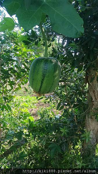 37970680_2151441491759431_371278843039711232_n 37970680_2151441491759431_371278843039711232_n