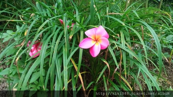 1534562886567.jpg 1534562886567.jpg