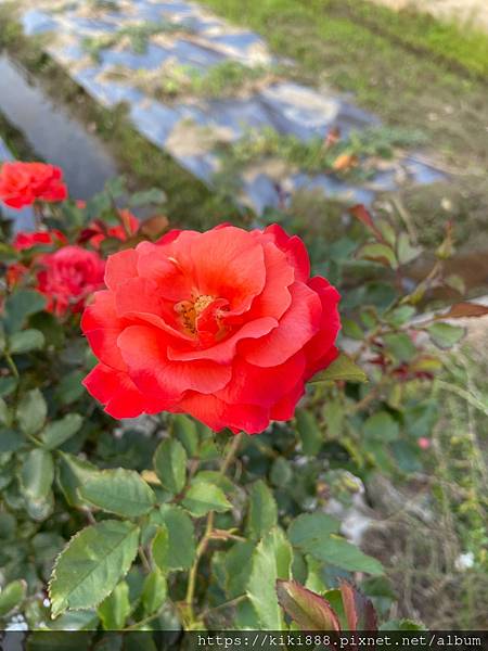 /tmp/php6ryYbF /tmp/php6ryYbF