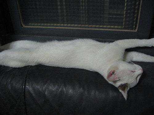 /home/service/tmp/2009-03-09/tpchome/1843077/249.jpg /home/service/tmp/2009-03-09/tpchome/1843077/249.jpg
