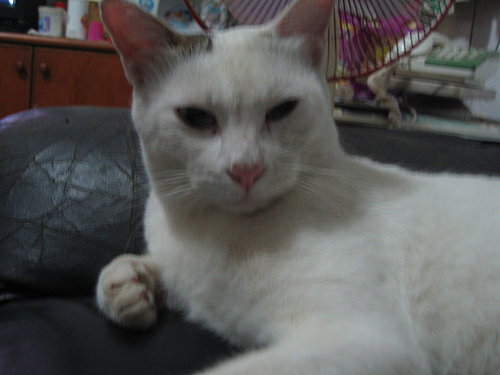 /home/service/tmp/2009-03-09/tpchome/1843077/274.jpg /home/service/tmp/2009-03-09/tpchome/1843077/274.jpg