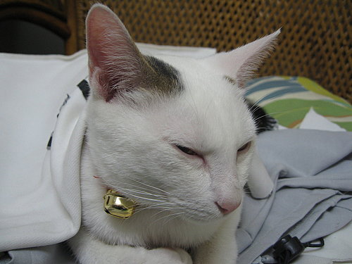 /home/service/tmp/2009-03-09/tpchome/1843077/314.jpg /home/service/tmp/2009-03-09/tpchome/1843077/314.jpg