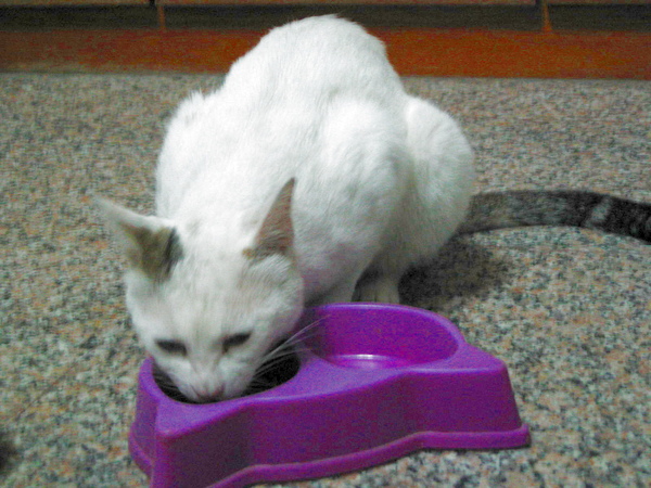 照片 063.jpg 照片 063.jpg