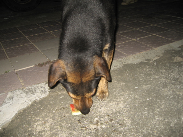 620 085.jpg 620 085.jpg