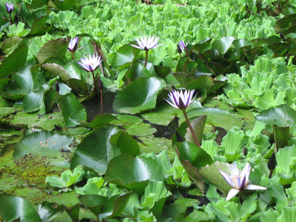 照片 049.jpg 照片 049.jpg