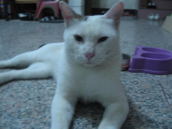 照片 009.jpg 照片 009.jpg