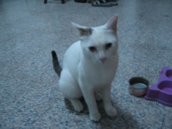 照片 007.jpg 照片 007.jpg