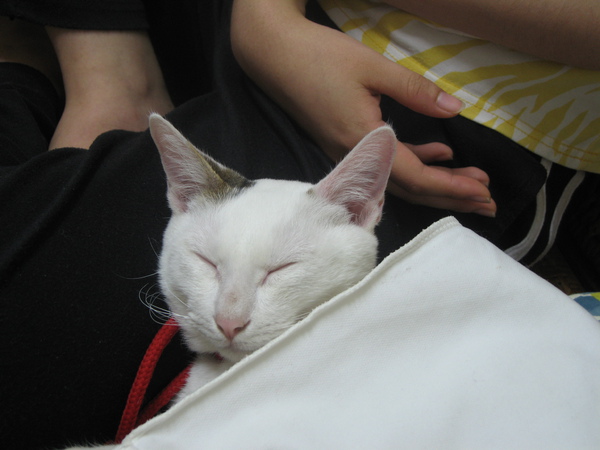 照片 114.jpg 照片 114.jpg