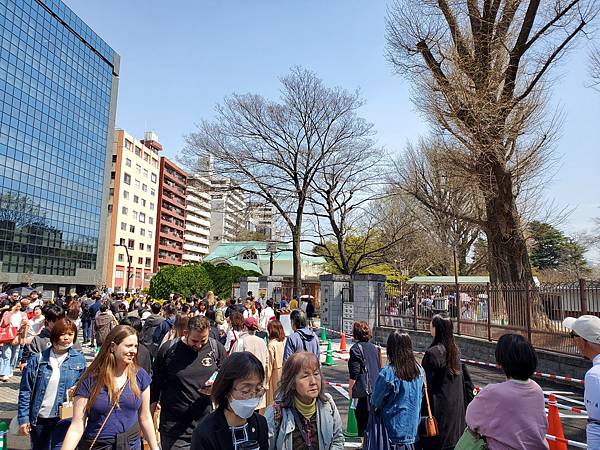 2024 20240329 ~ 20240406 東京自由行