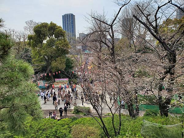 20240329 ~ 20240406 東京自由行9日8夜 