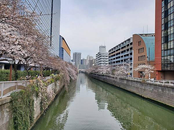 20240329 ~ 20240406 東京自由行9日8夜 