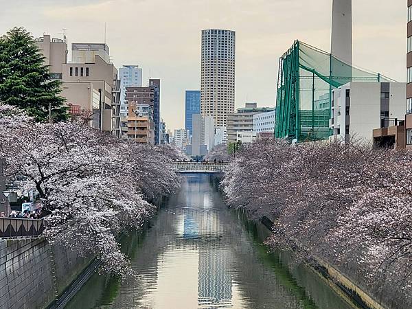 20240329 ~ 20240406 東京自由行9日8夜 