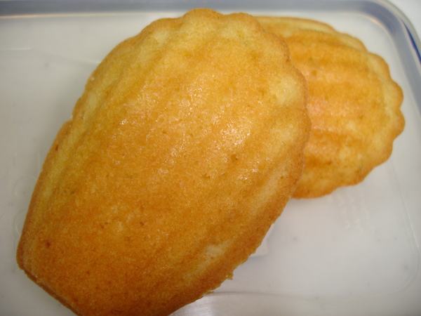 DSC08147.JPG