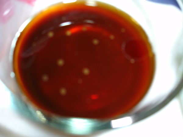 DSC00548.JPG