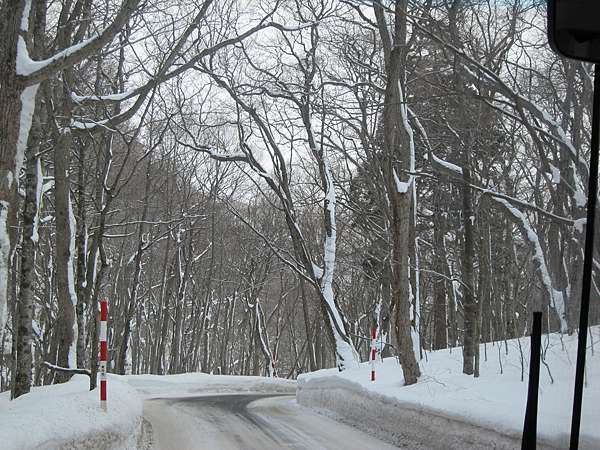 日本環島 D7 青森 八戶 仙台 新潟 越後湯沢 靜岡 熱海 紅橙鯨魚愛出遊 痞客邦 日本環島 D7 青森 八戶 仙台 新潟 越後湯沢 靜岡 熱海 紅橙鯨魚愛出遊 痞客邦