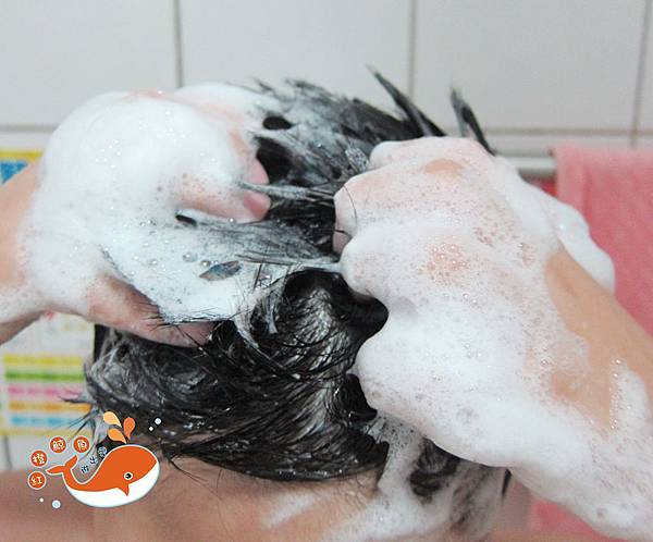 IMG_4888_副本.jpg 試用