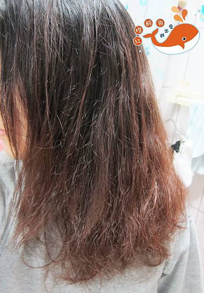 IMG_5512_副本 試用