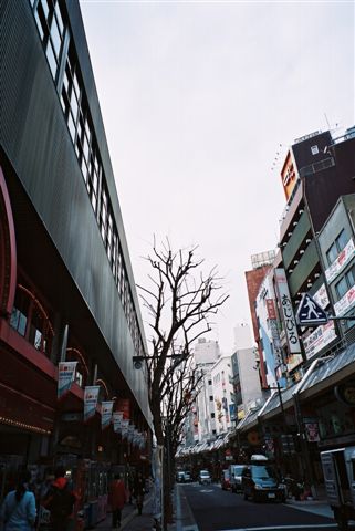 F1000033