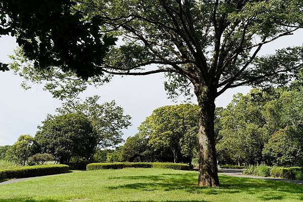 東京 立川向日葵園 夏天的昭和紀念公園該怎麼玩 學習要在東京混下去的技能 痞客邦 東京 立川向日葵園 夏天的昭和紀念公園該怎麼玩 學習要在東京混下去的技能 痞客邦
