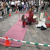 路邊看到的猴戲表演