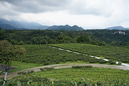 鹿篙的風景很美