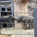 來看動物園