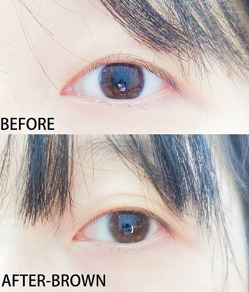 brown001.jpg brown001.jpg