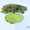 一顆樹的星球.jpg