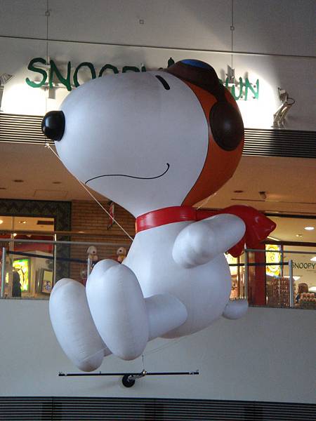 Snoopy 09