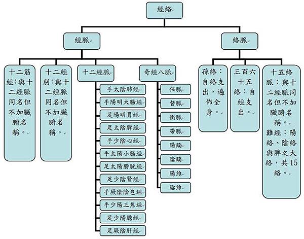 人體經絡圖解