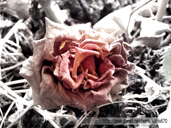 遮罩與色彩應用