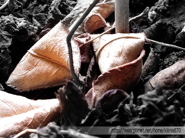 遮罩與色彩應用