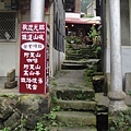 DSC05566-1.jpg