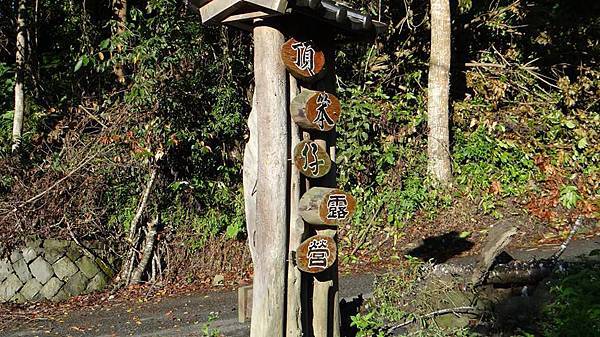 994553_10200831496364761_21783501_n