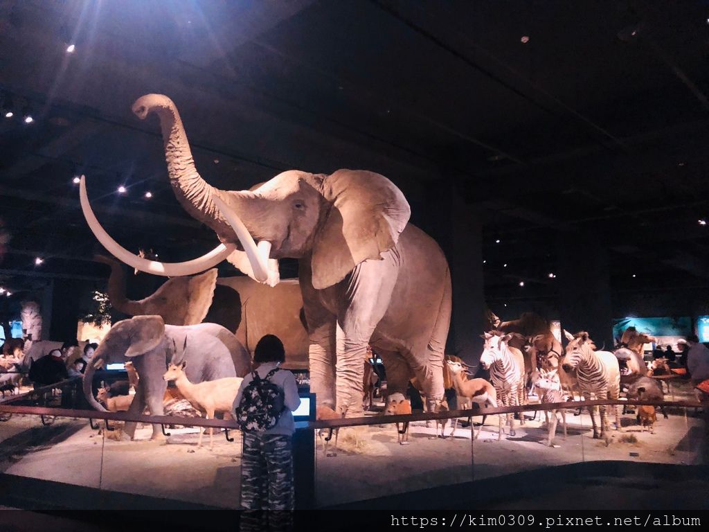 4620693218537136147.6e5fb75cab8574674cf11b9ad77a95d3.20020711.jpg 4620693218537136147.6e5fb75cab8574674cf11b9ad77a95d3.20020711.jpg