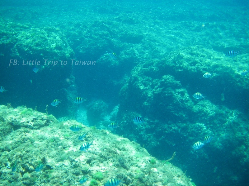 Liuchiu Coral Island 小琉球