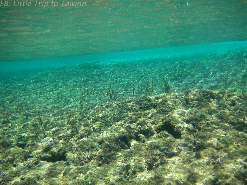 Liuchiu Coral Island 小琉球