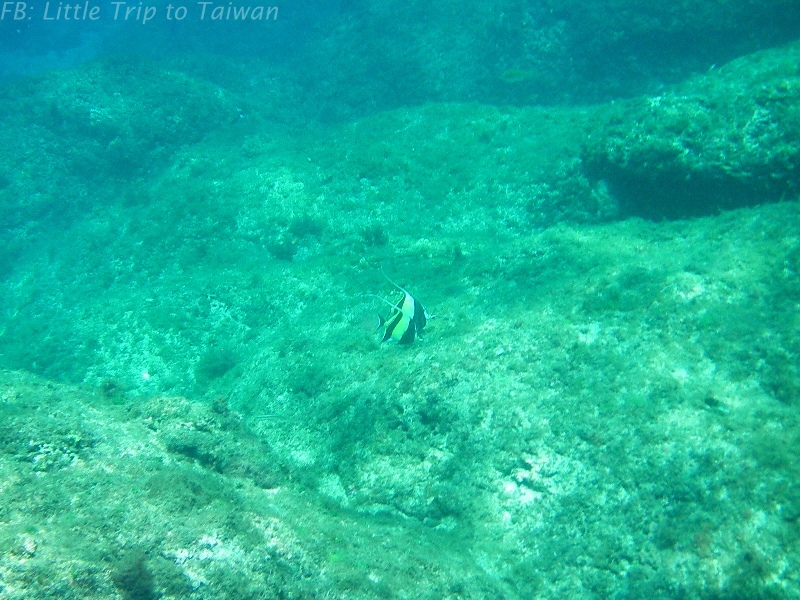 Liuchiu Coral Island 小琉球