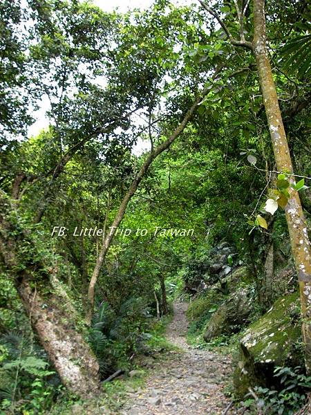 那瑪夏龍鳳瀑布Waterfall