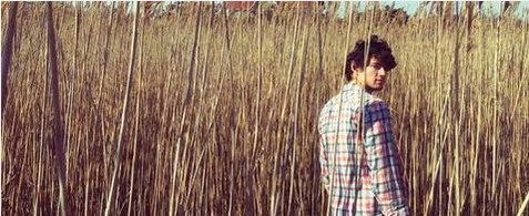 2017-01-11010 2017-01-11010