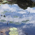 031DSC01543.jpg