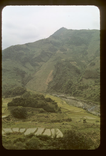 Taiwan 264.jpg