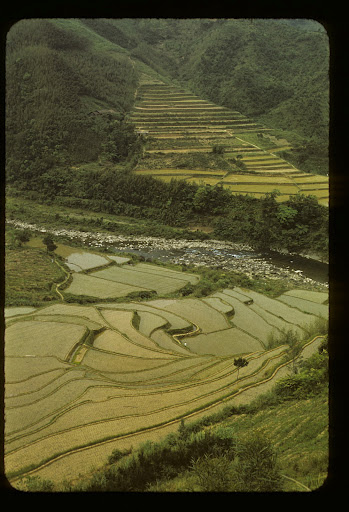 Taiwan 265.jpg