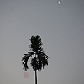 004內甕風中霧景.jpg