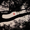 042內甕風中霧景