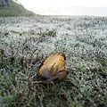026內甕風中霧景.jpg