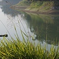 032內甕風中霧景.jpg